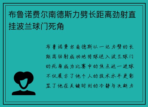 布鲁诺费尔南德斯力劈长距离劲射直挂波兰球门死角